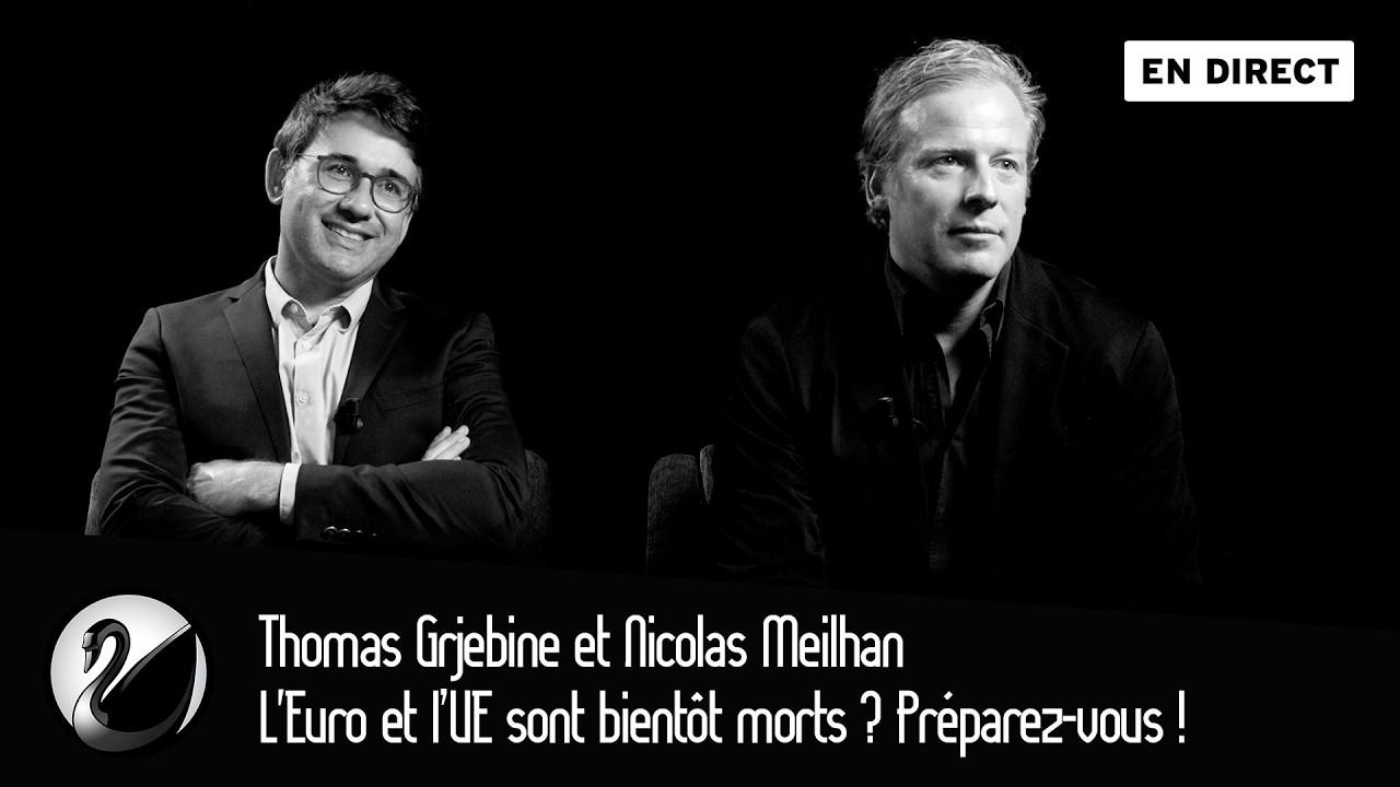 Thomas Grjebine et Nicolas Meilhan : L’Euro et l’UE sont bientôt morts ? Préparez-vous !